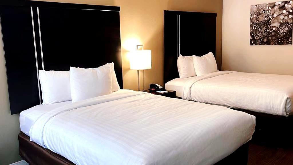 Clarion Inn & Suites فلورنسا المظهر الخارجي الصورة