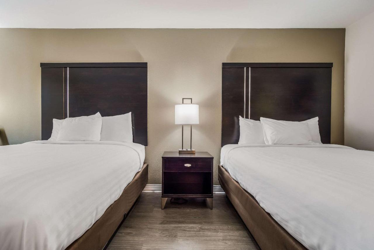 Clarion Inn & Suites فلورنسا المظهر الخارجي الصورة