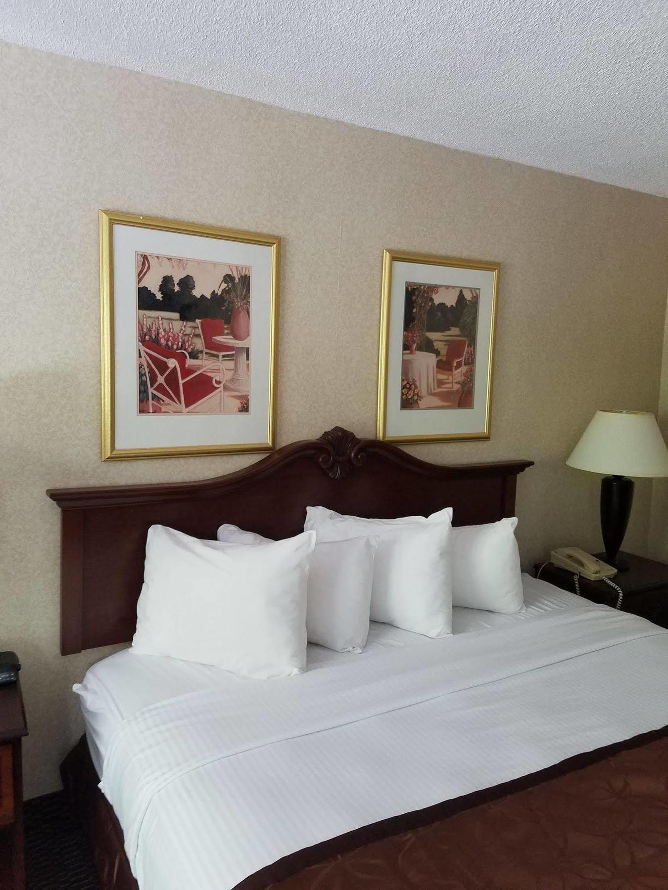 Clarion Inn & Suites فلورنسا المظهر الخارجي الصورة