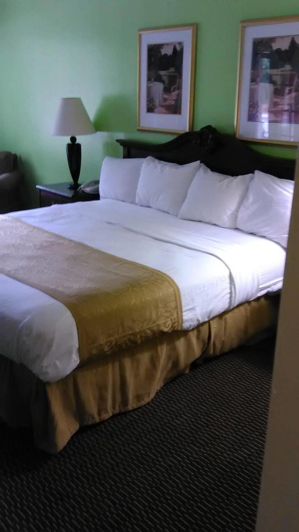 Clarion Inn & Suites فلورنسا المظهر الخارجي الصورة