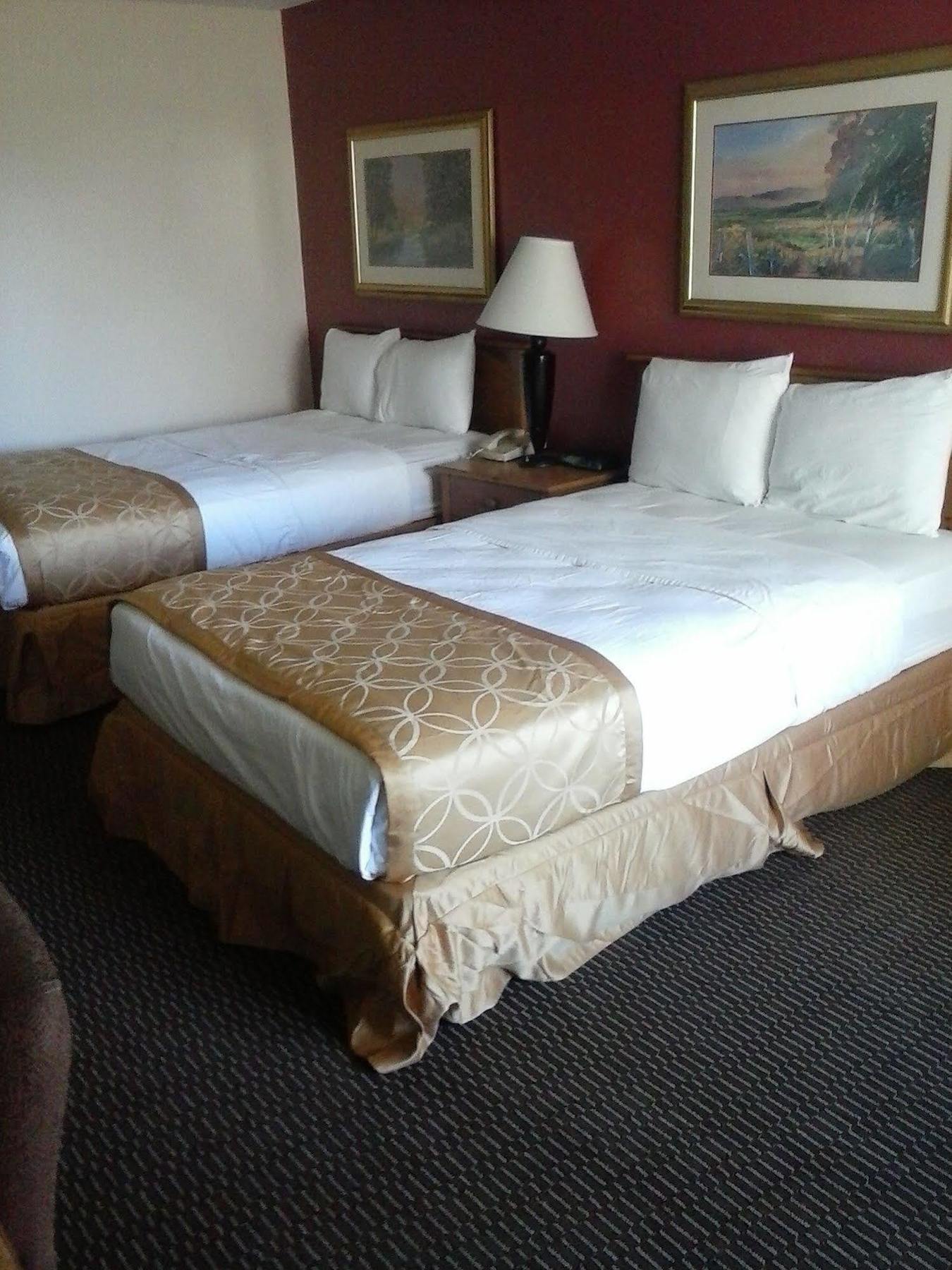 Clarion Inn & Suites فلورنسا المظهر الخارجي الصورة